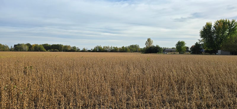 XXX E Olive St, Ogilvie, MN 56358