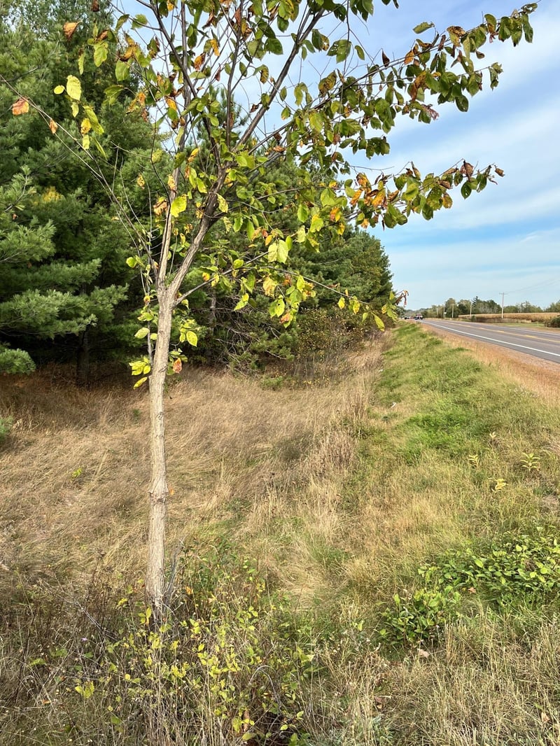 0 Hwy 48, Rice Lake, WI 54868