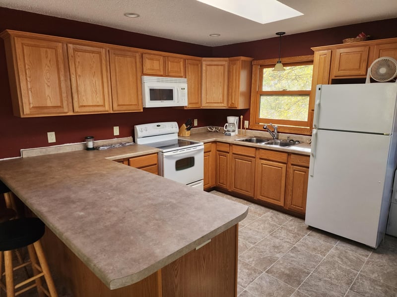 50331 Haven Dr, Henning, MN 56551