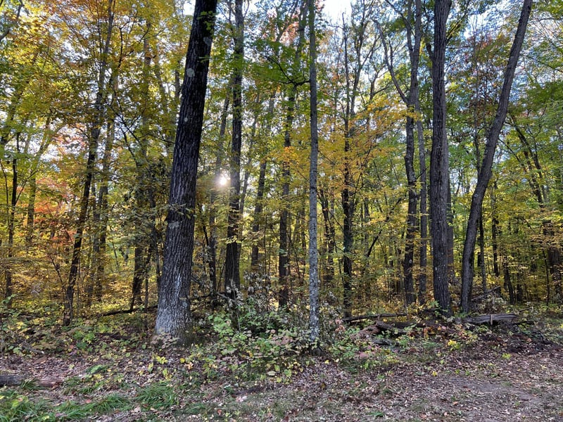 3459 103 St, Frederic, WI 54837