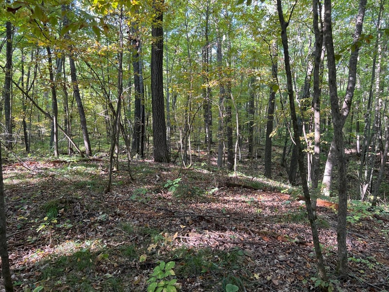 3459 103 St, Frederic, WI 54837