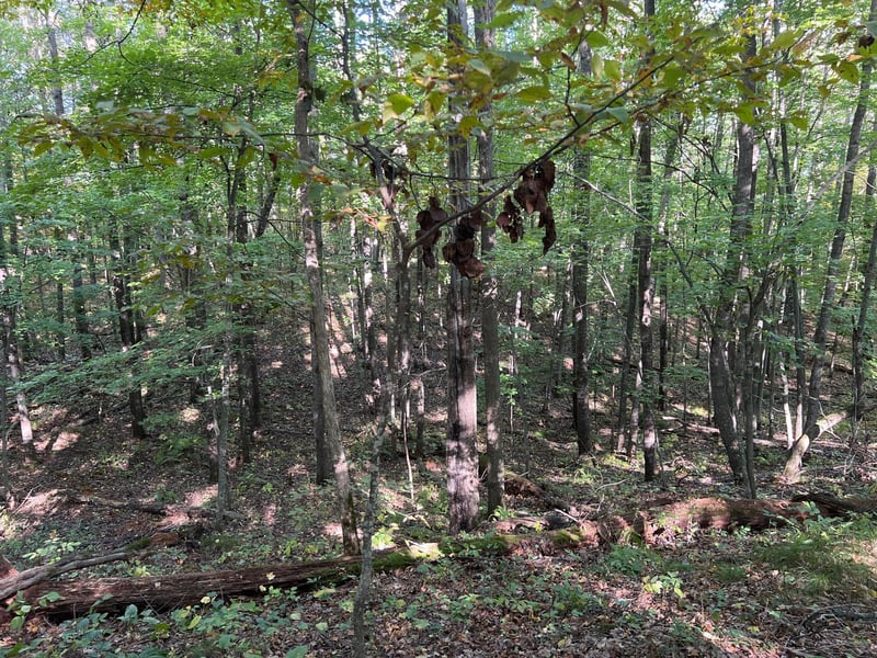 3459 103 St, Frederic, WI 54837