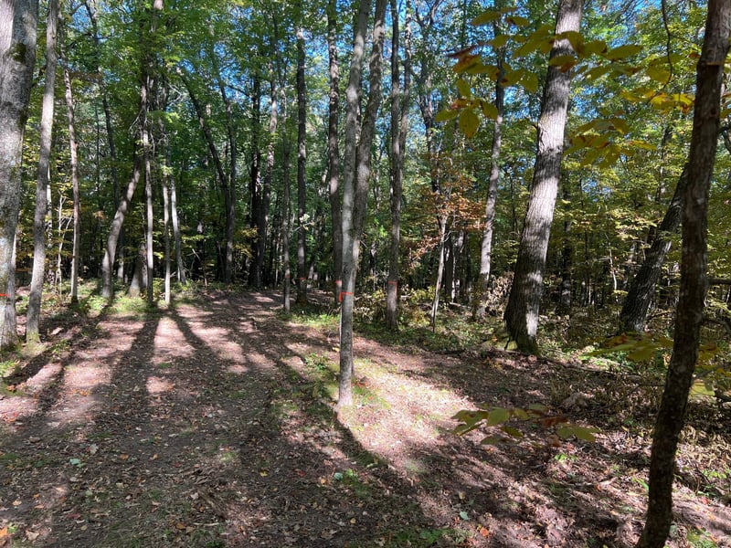 3459 103 St, Frederic, WI 54837