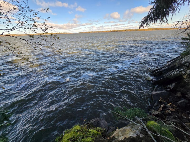 Tract 8 Brush Island, Angle Inlet, MN 56711