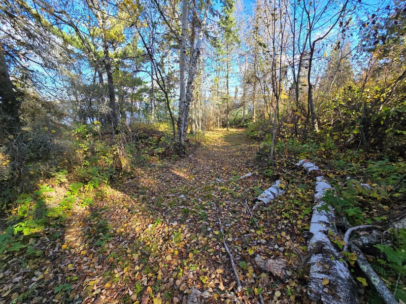 Tract 8 Brush Island, Angle Inlet, MN 56711