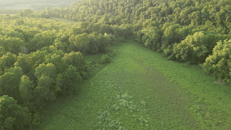 TBD River Dr, Money Creek Twp, MN 55943