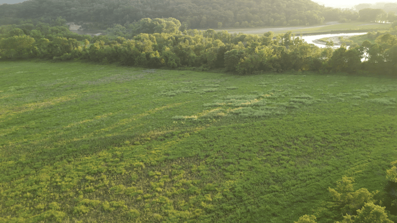 TBD River Dr, Money Creek Twp, MN 55943