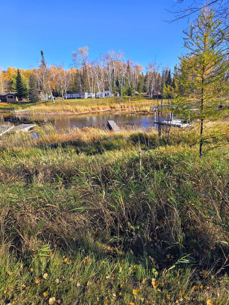 17266 Pine Creek Dr NW, Angle Inlet, MN 56711