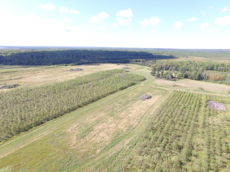 28291 Mud Lake Rd, Bagley, MN 56621