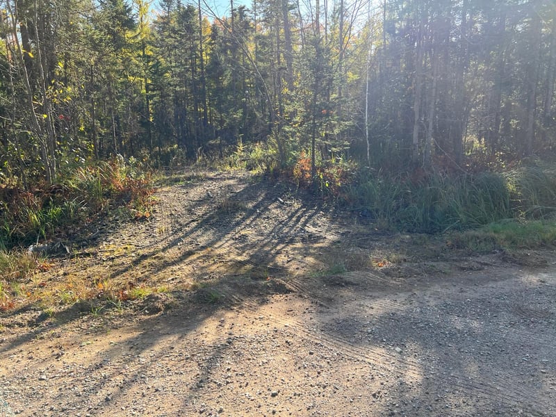 XXX Hwy 59, Mcgrath, MN 56350