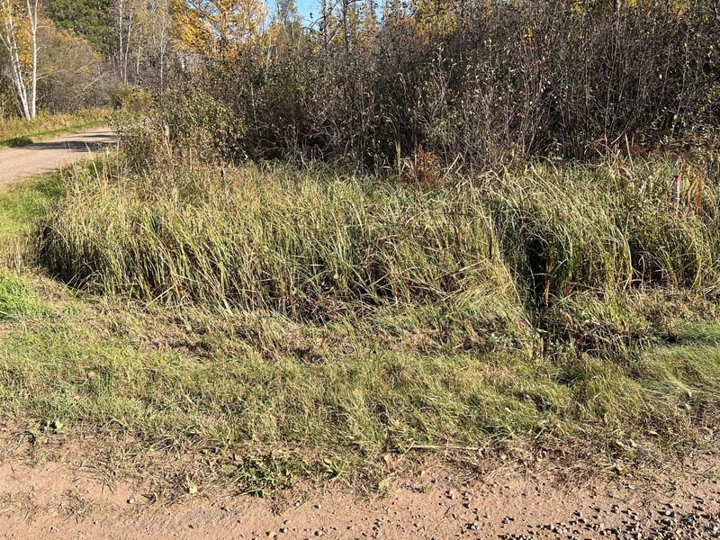XXX Hwy 59, Mcgrath, MN 56350