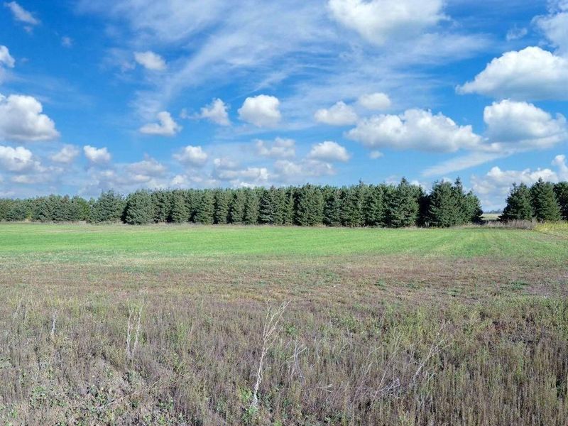 XXX County 77, Wadena, MN 56482