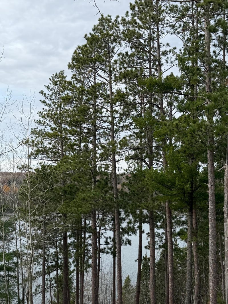 TBD Quetzal Dr, Solway, MN 56678