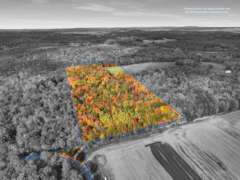 2650 9 1/4 Ave, Chetek, WI 54728
