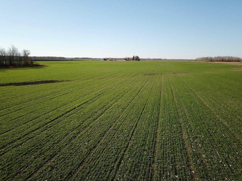 18310 County Road 117, Badger, MN 56714