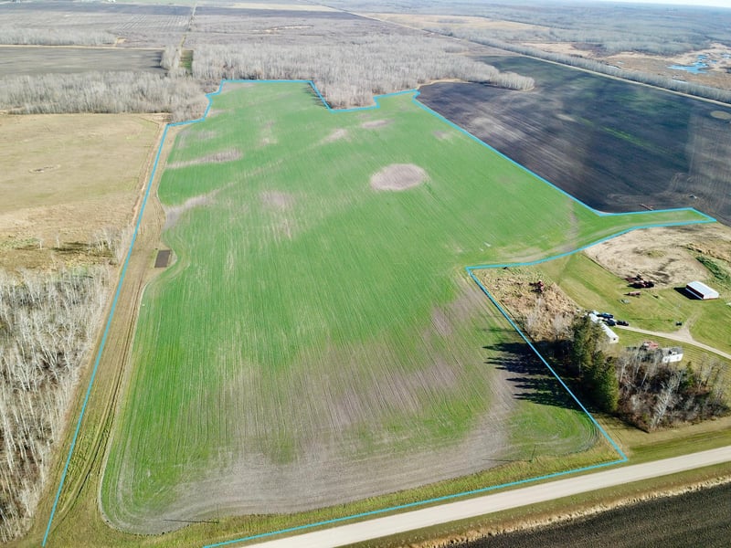 18310 County Road 117, Badger, MN 56714