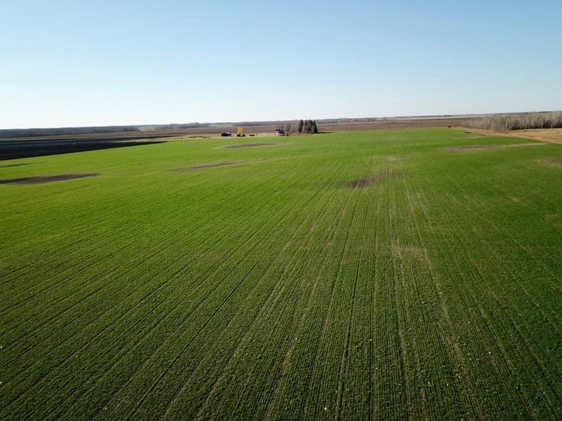 18310 County Road 117, Badger, MN 56714