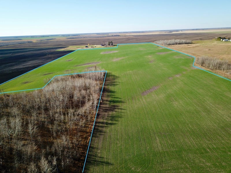 18310 County Road 117, Badger, MN 56714