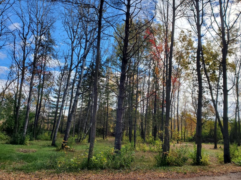 xxx 3rd St S, Brook Park, MN 55007