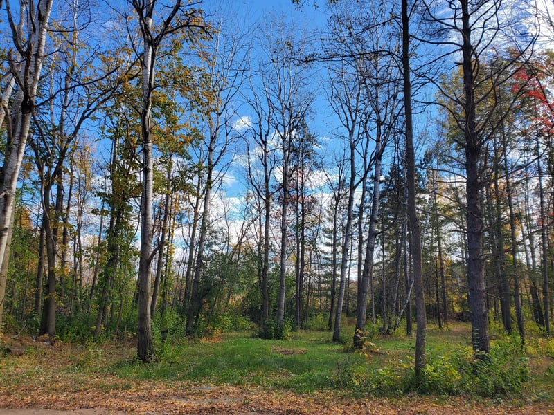 xxx 3rd St S, Brook Park, MN 55007