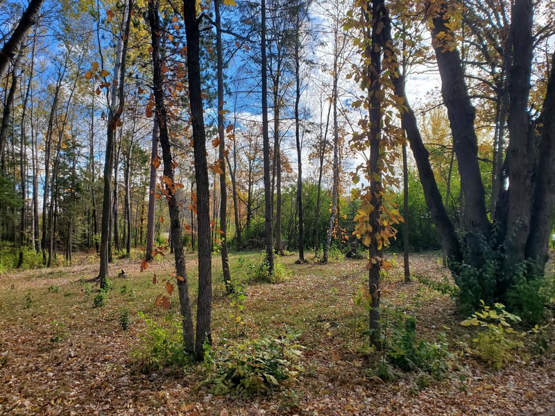 xxx 3rd St S, Brook Park, MN 55007
