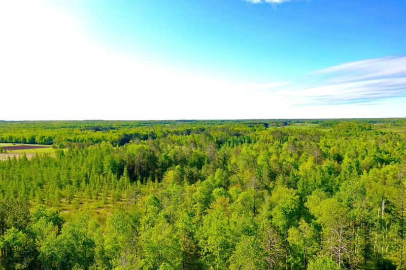 41574 Koland Rd, Sandstone, MN 55072