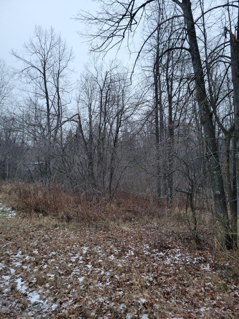 XX Baker Ave, Ladysmith, WI 54848