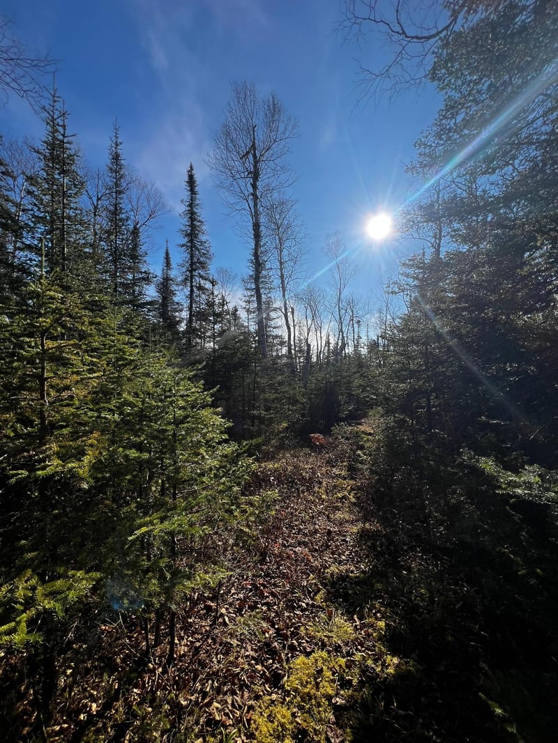 4331 Highway 61 #PARCEL B, Two Harbors, MN 55616