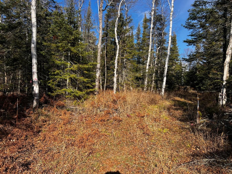 4331 Highway 61 #PARCEL B, Two Harbors, MN 55616