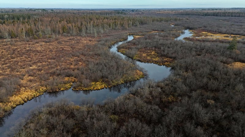 TBD Highway 21, Embarrass, MN 55732