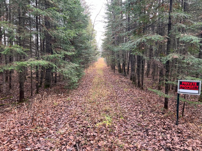 TBD Highway 21, Embarrass, MN 55732