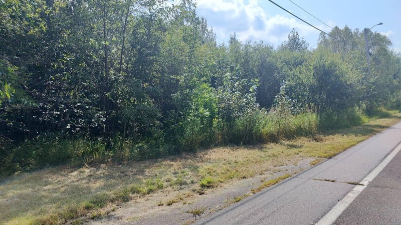 TBD Lake St, Orr, MN 55771