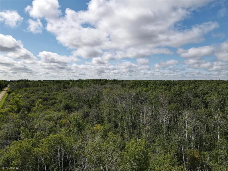 TBD 180th Ave NW, Newfolden, MN 56738