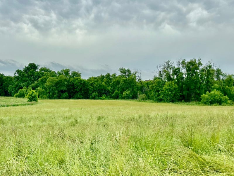 2505 Pioneer Trl, Medina, MN 55340