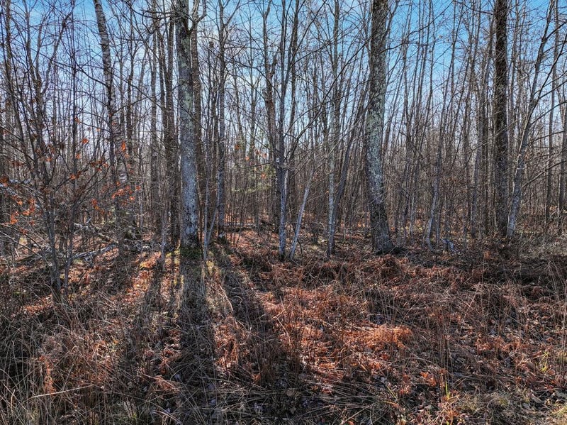 Lot 12 Peninsula Rd, Hayward, WI 54843