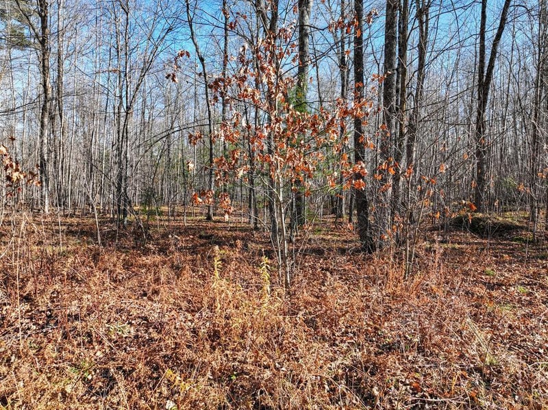 Lot 8 Peninsula Rd, Hayward, WI 54843
