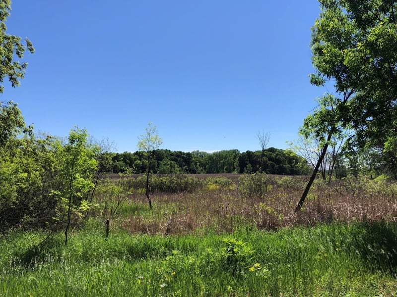 5 S Long Lake Trl, North Oaks, MN 55127