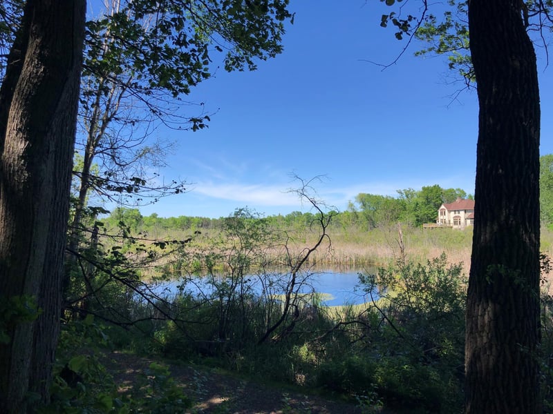 5 S Long Lake Trl, North Oaks, MN 55127