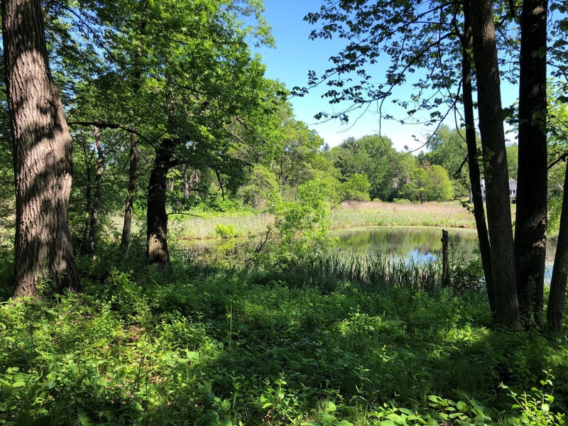 5 S Long Lake Trl, North Oaks, MN 55127