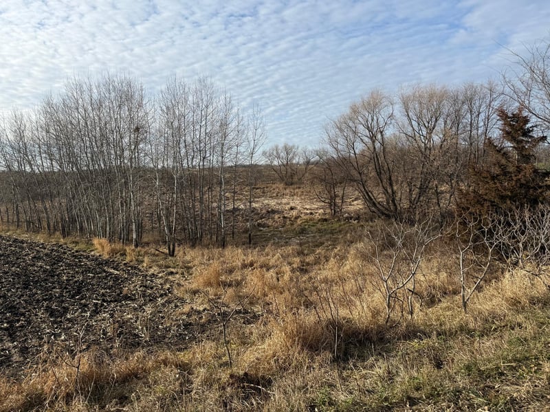 11111 Peyton, Cokato, MN 55321
