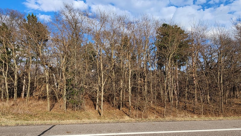 xxxxx County Rd 15, Big Lake, MN 55330