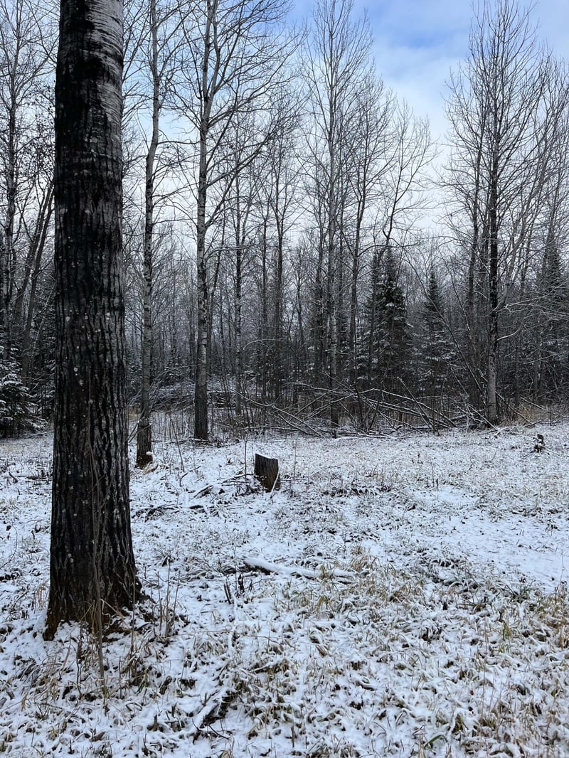 TBD Pinewood Ln NW, Angle Inlet, MN 56711