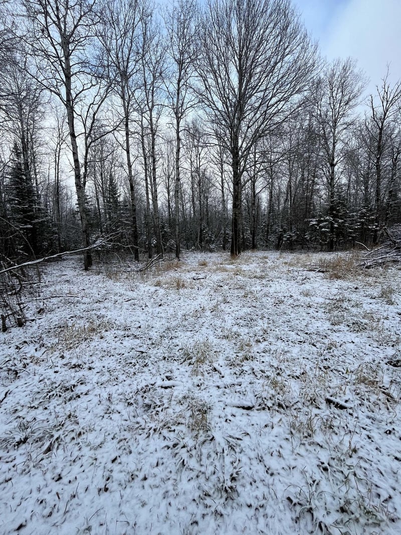 TBD Pinewood Ln NW, Angle Inlet, MN 56711