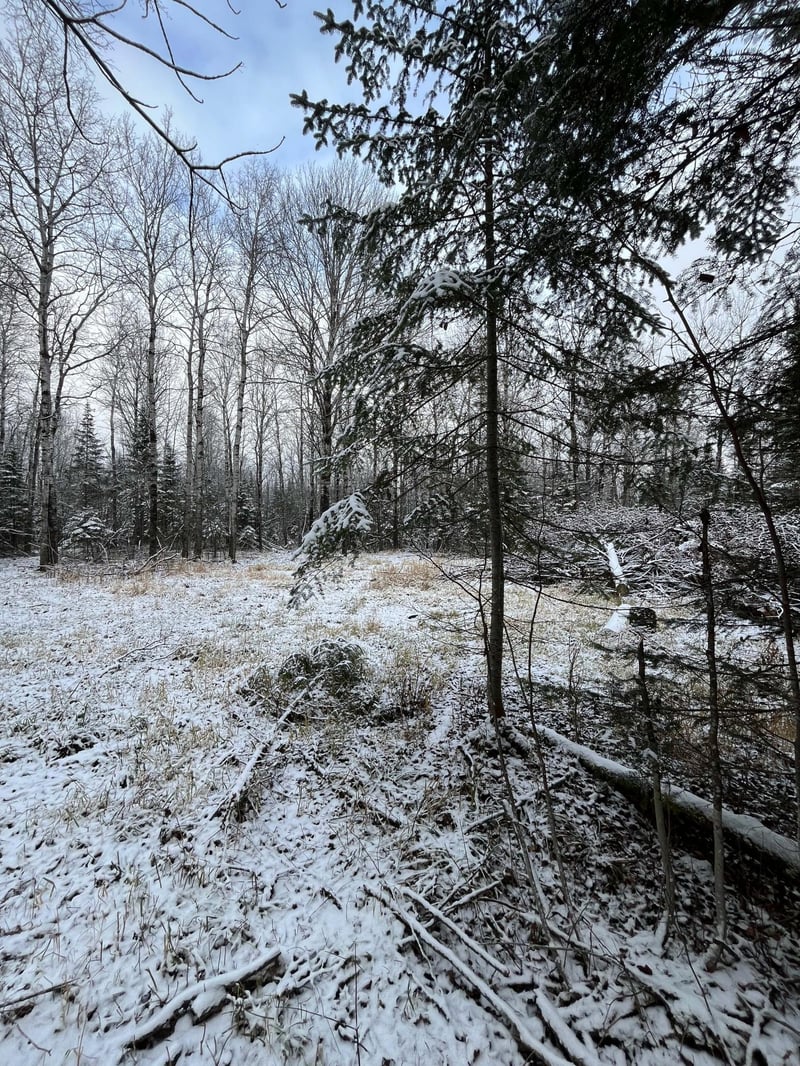 TBD Pinewood Ln NW, Angle Inlet, MN 56711