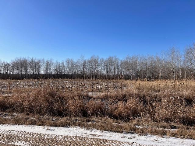 xxxxx 62nd St Ne, Belgrade, MN 56312