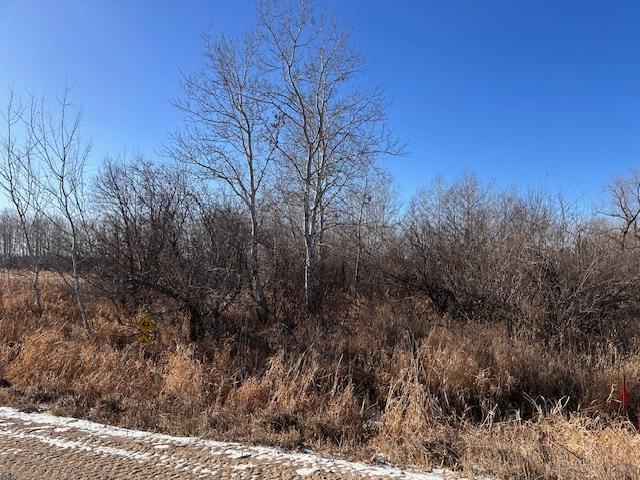 xxxxx 62nd St Ne, Belgrade, MN 56312