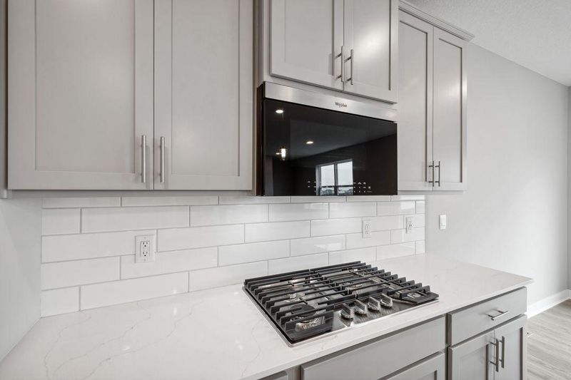 3959 Founders Pa, Chaska, MN 55318