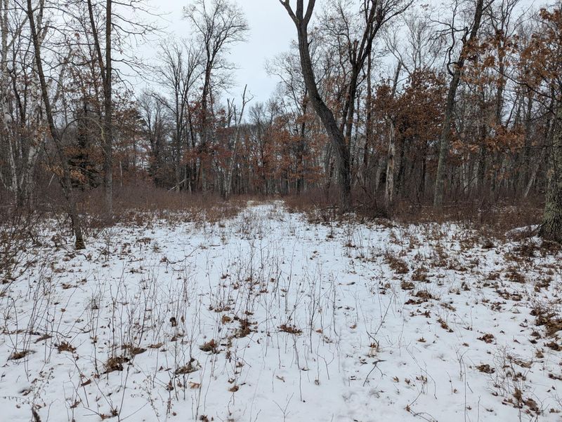 L4 B1 Shafer Rd, Cross Lake, MN 56442
