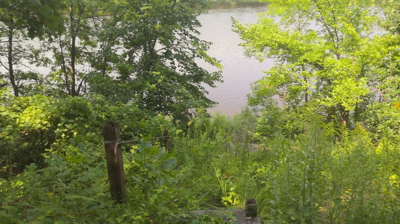 2677 Mississippi Shores Rd, Fort Ripley, MN 56449