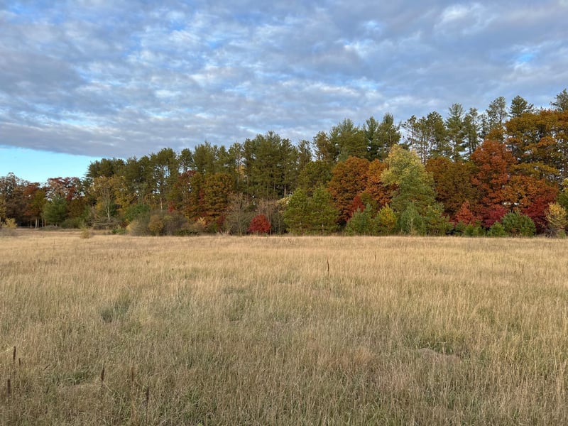 992 191st Ave NW, Cedar, MN 55011